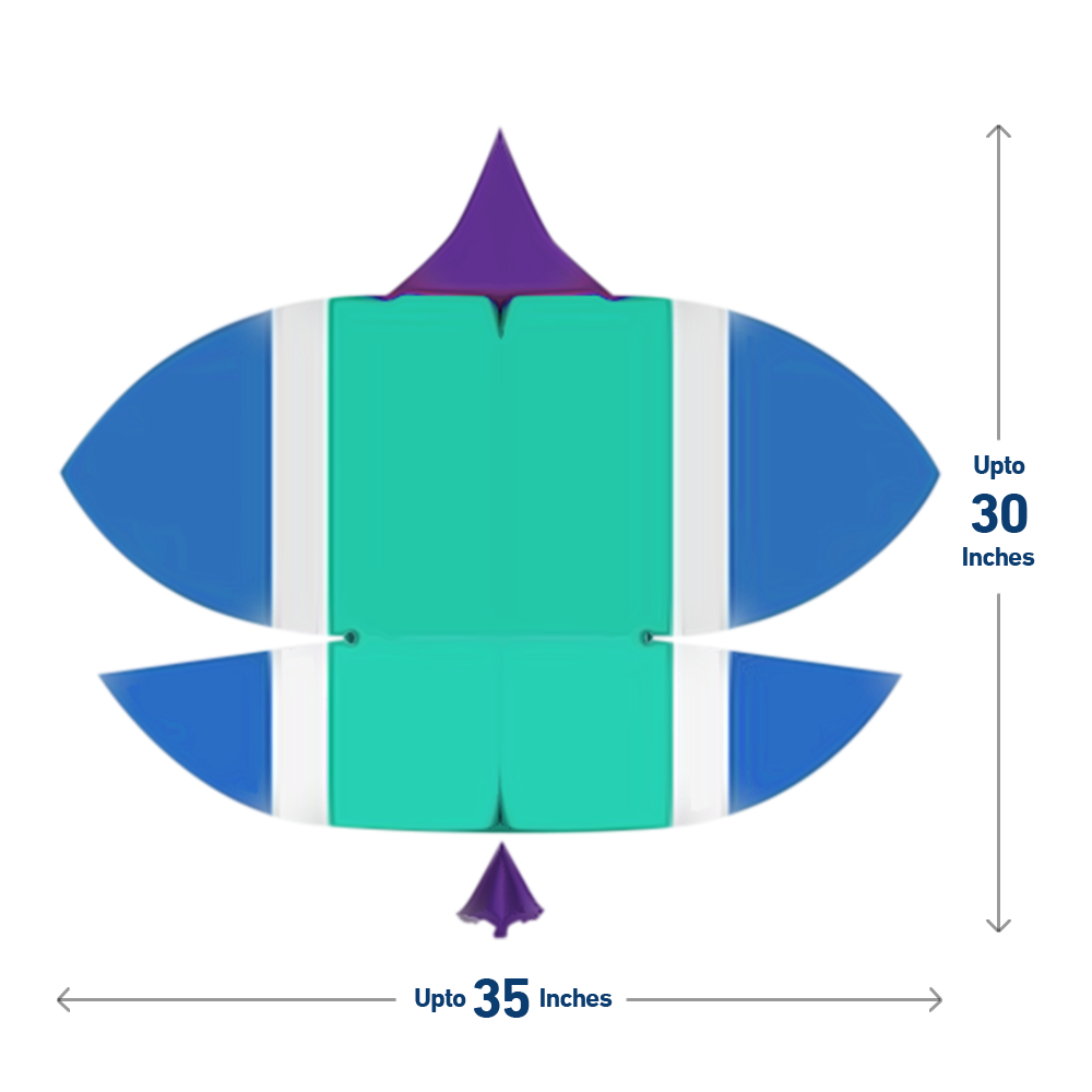 Patang - Approved Kite