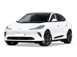 2026 MG IM6